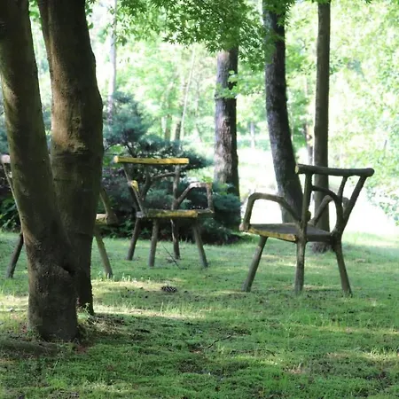 Appartement La Terrazza' Mit Seeblick By Interhome Castelletto sopra Ticino