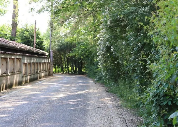 Apartament La Terrazza' Mit Seeblick By Interhome